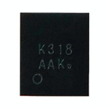 Audio IC Module K318