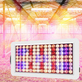 LED Plant Grow Light Indoor Timing Remote Control Grow Light Full Spectrum Nursery Fill Lights, Plug: US
