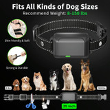 Ordinary Screen Remote Control Pet Electric Shock Circular Dog Trainer(Black)