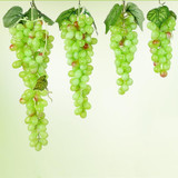 4 Bunches 36 Green Grapes Simulation Fruit Simulation Grapes PVC with Cream Grape Shoot Props