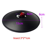 3D Mirascopel Visual Illusion Box Optical Holographic Projection Physical Imaging Educational Science Toys(Ladybug)