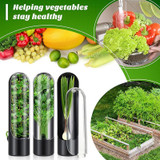 Herb Crisper Vegetable Keep Fresh Container Cilantro Herb Storage Container(Black)