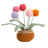 5pcs /Set Large Potted Plant Crochet Starter Kit for Beginners with  Step-by-Step Video Tutorials