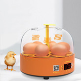 6-Eggs Small Household Experimental Children Smart Chicken Incubators, Spec: Automatic UK Plug