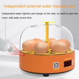 6-Eggs Small Household Experimental Children Smart Chicken Incubators, Spec: Manual AU Plug