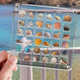 100 Grids Acrylic Magnetic Seashell Storage Display Box Beads Jewelry Nail Art Storage Box