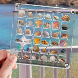 64 Grids Acrylic Magnetic Seashell Storage Display Box Beads Jewelry Nail Art Storage Box