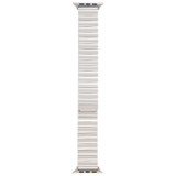 For Apple Watch SE 2023 40mm Bamboo Stainless Steel Magnetic Watch Band(Starlight)