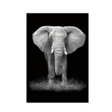 Simple Black and White Animal Decoration Painting Study Living Room Sofa Background Wall Painting Without Frame, Size:40X50cm(Elephant)