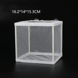 Small Aquarium Incubator Small Fish Isolation Box Net Tropical Fish Breeding Box