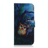 For Realme 10 4G Coloured Drawing Flip Leather Phone Case(Oil Painting Owl)