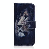 For Realme 10 4G Coloured Drawing Flip Leather Phone Case(Lion)