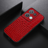 For OPPO Reno8 Pro+ 5G China / 8 Pro 5G Foreign Crocodile Top Layer Cowhide Leather Phone Case(Red)