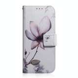 For Samsung Galaxy M33 5G Coloured Drawing Leather Phone Case(Magnolia Flower)