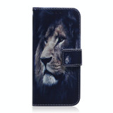 For Samsung Galaxy M33 5G Coloured Drawing Leather Phone Case(Lion)