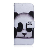 For Samsung Galaxy M33 5G Coloured Drawing Leather Phone Case(Panda)