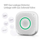 TY-GSA-87 Smart Home WIFI Gas Detector, Specification: EU Plug