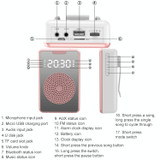 ZXL-H3 Portable Teaching Microphone Amplifier with Time Display, Spec: Wired Version (Rose Gold)