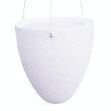 Wire Hanging Plastic Flowerpot With Automatic Water Absorption And Frosted Surface(D09 Caliber 19cm)