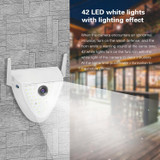 DP16 2.0 Megapixel 42 LEDs Garden Light Smart Camera, Support Motion Detection / Night Vision / Voice Intercom / TF Card, EU Plug