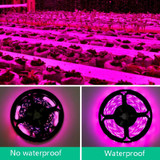 3 PCS 0.5m Waterproof Plant Light Strip LED Planting Filling Light USB Indoor 2835SMD Plant Growth Lamp