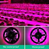 2 PCS 0.5m Waterproof LED Light Strip Planting Filling Light Full Spectroscopy USB Touch Dimming Plant Lamp