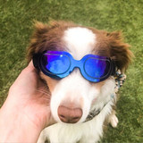 Dog Glasses Sunglasses Pet Glasses(blue)