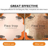 Household Flea Traps Drug-free Insect Trap Lamp, Plug Type:AU Plug