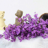 5 PCS Simulation Starry Single Flower Home Decoration Bride Holding Flowers(Purple)