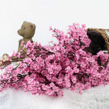 5 PCS Simulation Starry Single Flower Home Decoration Bride Holding Flowers(Pink)