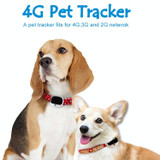 RF-V43 A Style IP67 Waterproof GPS + LBS + WiFi Pet Locator Pet Collar Tracking Device For Asia/Europe/Africa(Black)