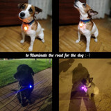 LED Flashlight Dog Cat Collar Glowing Pendant Luminous Bright Decoration Collars(Blue)