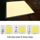 High Power 220V LED FloodlightCool/Warm White COB LED Chip IP65 Smart IC Driver Lamp(20W warm white)