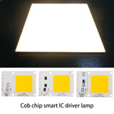 High Power 220V LED FloodlightCool/Warm White COB LED Chip IP65 Smart IC Driver Lamp(20W warm white)