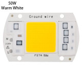 High Power 220V LED FloodlightCool/Warm White COB LED Chip IP65 Smart IC Driver Lamp(50W warm white)