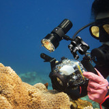 PULUZ Dual Aluminum Alloy Clamp for Underwater Arm System