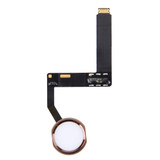 for iPad Pro 9.7 inch Home Button Assembly Flex Cable, Not Supporting Fingerprint Identification(Rose Gold)