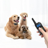 Dog Training Device Automatic Bark Stopper Dog Training Electronic Collar, Style: For-Two-Dog(Red)