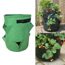 3 Pockets 18L / 5 Gallon Non-woven Felt Strawberry Planting Bag, Size: 23X28cm(Grass Green)