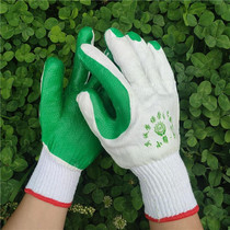 12 PCS Thickened Rubber Coated Labor Insurance Rubber Gloves(Green)