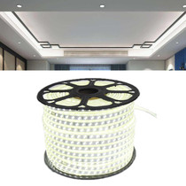 1m 5730 Double Row 120 Beads High Voltage Full Copper Core Silicone LED Light Strip, Color Temperature: 6500K White Light