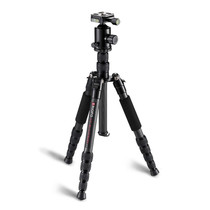 TRIOPO T259G+Q2 Adjustable Portable Carbon Fiber Tripod with Q-2 Ball Head for SLR Camera