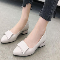 Spring And Summer Cowhide Shoes With Thick Heel Mid-Heel For Women, Size: 34(Beige)