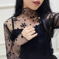 Sexy Mesh High Collar Long Sleeve Bottoming Blouse, Size:  One Size( Snowflake)