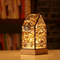 Fireworks Glass Lampshade Wooden Base 100 LEDs Night Light Birthday Christmas Gift, Spec: Dimming Switch(Firefly House)