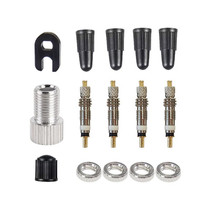 3 Sets (15 in 1 B) French Valve Core Adapter Set