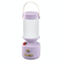 Tripolar Dimmable LED Bedside Night Light Camping Decorative Ambient Light(Purple)