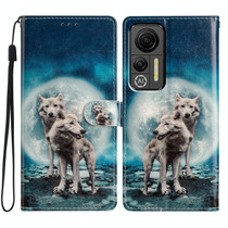 For Ulefone Note 14 Colored Drawing Leather Phone Case(Twin Wolves)