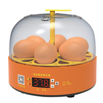 6-Eggs Small Household Experimental Children Smart Chicken Incubators, Spec: Manual UK Plug
