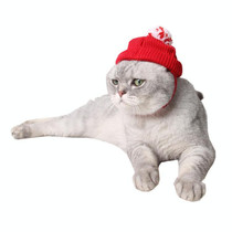 2 PCS Pet Supplies Puppy Christmas Hat Holiday Woolen Hat